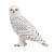 My Little Zoo Snowy Owl (Animal Figure) Item picture1