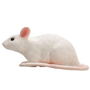 My Little Zoo House Mouse (Animal Figure)
