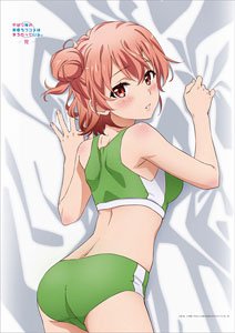 やはり俺の青春ラブコメはまちがっている。完 【描き下ろし】 B2タペストリー 結衣 (スポーツウェア) (キャラクターグッズ)