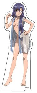 TVアニメ「戦姫絶唱シンフォギアXV」 描き下ろしBIGアクリルスタンド (2)風鳴翼 (キャラクターグッズ)