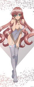 TVアニメ「戦姫絶唱シンフォギアXV」 等身大タペストリー (4)マリア・カデンツァヴナ・イヴ (キャラクターグッズ)