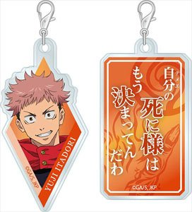 呪術廻戦 アクリメトリー 虎杖悠仁 (キャラクターグッズ)