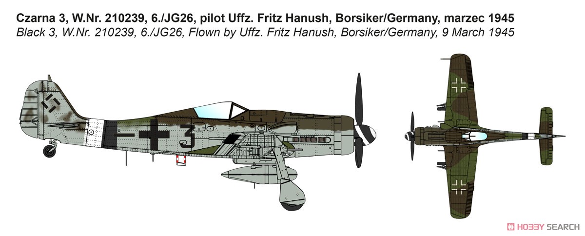 独・フォッケウルフFw190D-9戦闘機・初期生産型 (プラモデル) 塗装3