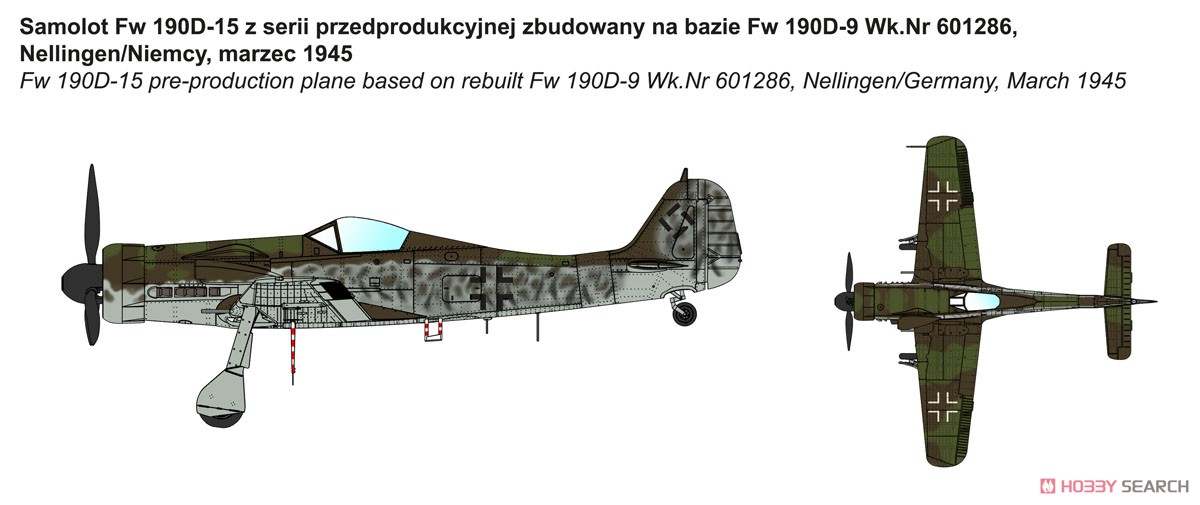 独・フォッケウルフFw190D-15雷撃攻撃機 (プラモデル) 塗装1