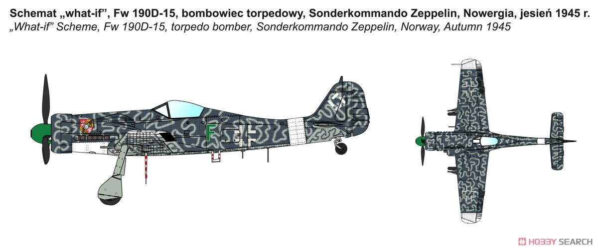 独・フォッケウルフFw190D-15雷撃攻撃機 (プラモデル) 塗装3