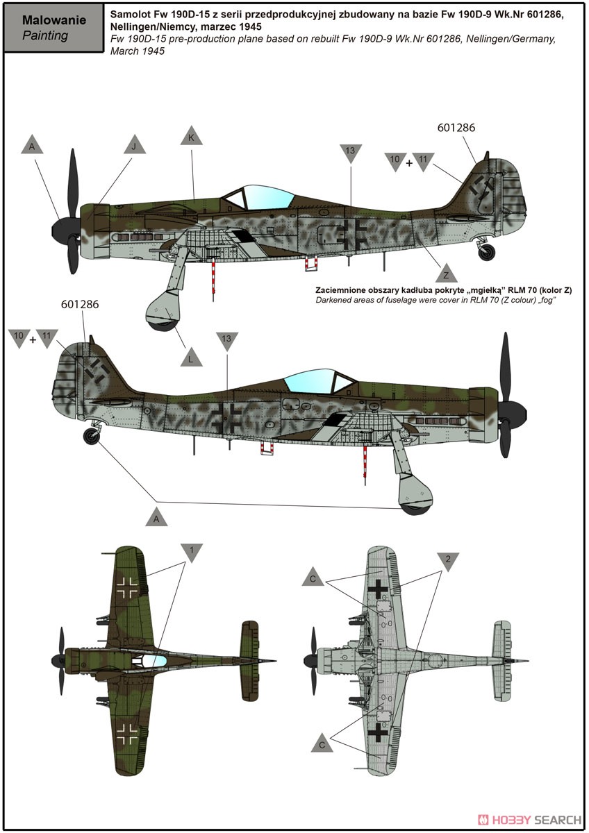 独・フォッケウルフFw190D-15雷撃攻撃機 (プラモデル) 塗装4