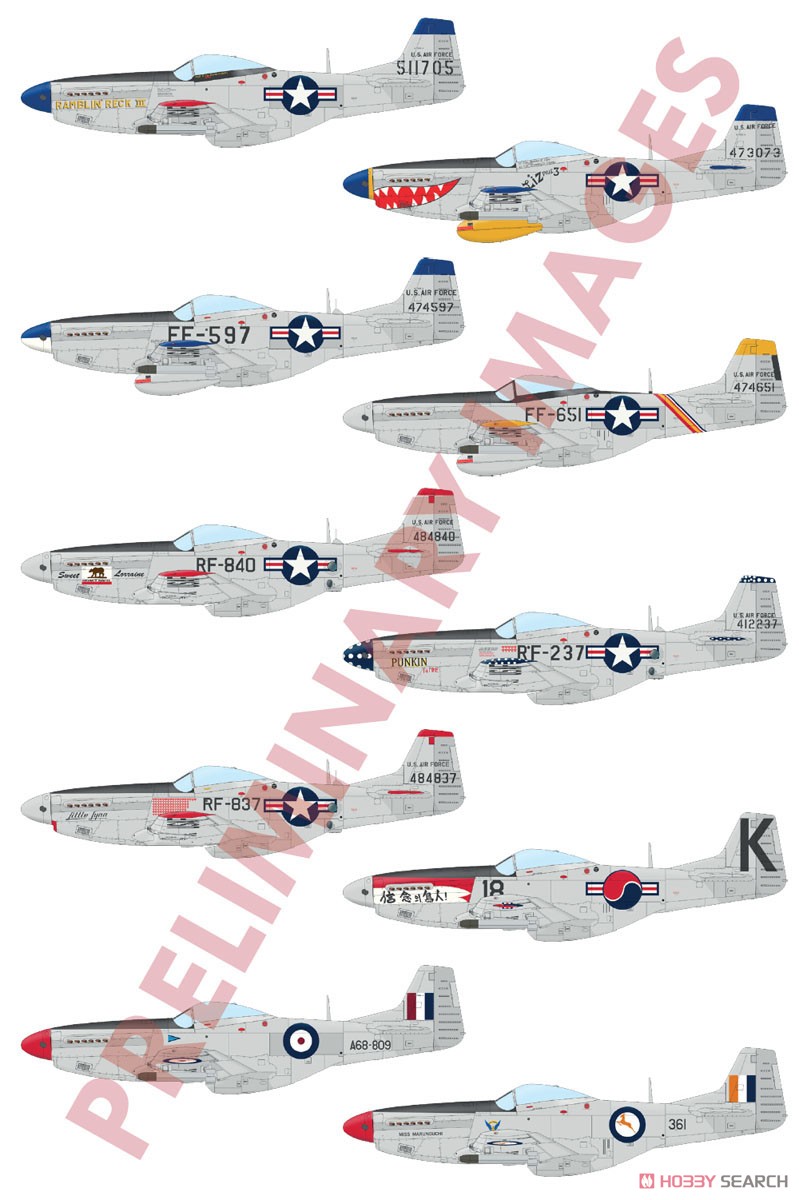 「コリア」 F-51D/RF-51D デュアルコンボ リミテッドエディション (プラモデル) 塗装1