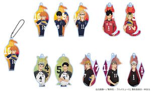 Haikyu!! Trading Acrylic Key Ring (Set of 10) (Anime Toy)
