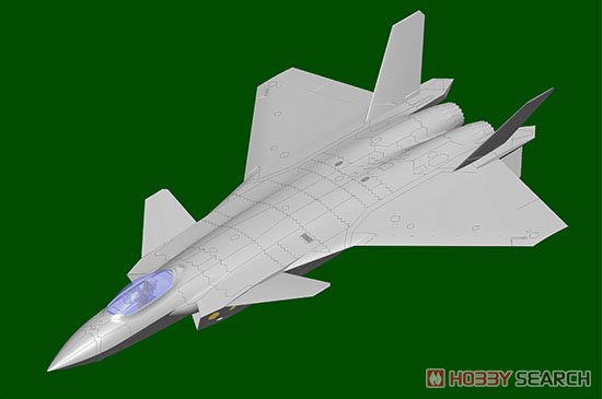 中国空軍 J-20戦闘機 マイティ・ドラゴン `ビーストモード` (プラモデル) その他の画像13