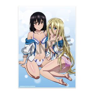 Strike the Blood Final Visual Acrylic Plate Yukina Himeragi & Avrora Florestina (Anime Toy)