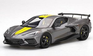 シボレー コルベット スティングレイ IMSA GTLM チャンピオンシップエディション ハイパーソニックグレー (ミニカー)