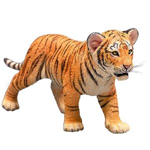 1/6 Tiger Kin (Fashion Doll)