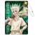 Dr. Stone Synthetic Leather Pass Case A [Senku Ishigami] (Anime Toy) Item picture1