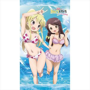 [Kin-iro Mosaic: Thank You!!] Noren (Karen & Honoka) (Anime Toy)