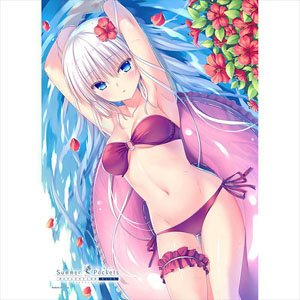 [Summer Pockets Reflection Blue] B2 Tapestry (Shiroha Naruse / Hibiscus) (Anime Toy)