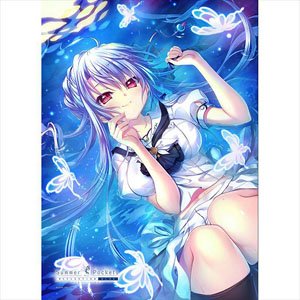 [Summer Pockets Reflection Blue] B2 Tapestry (Ao Sorakado / Seven-Spot Butterfly) (Anime Toy)