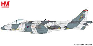 ハリアー GR.7 `イギリス空軍 スノーファルコン演習` (完成品飛行機)