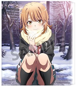 やはり俺の青春ラブコメはまちがっている。完 キャンバスアート 一色いろは 2019 winter ver. (キャラクターグッズ)