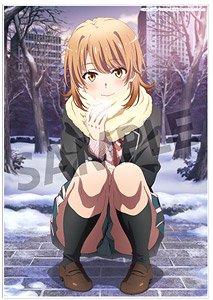 やはり俺の青春ラブコメはまちがっている。完 ビジュアルアクリルプレート 一色いろは 2019 winter ver. (キャラクターグッズ)