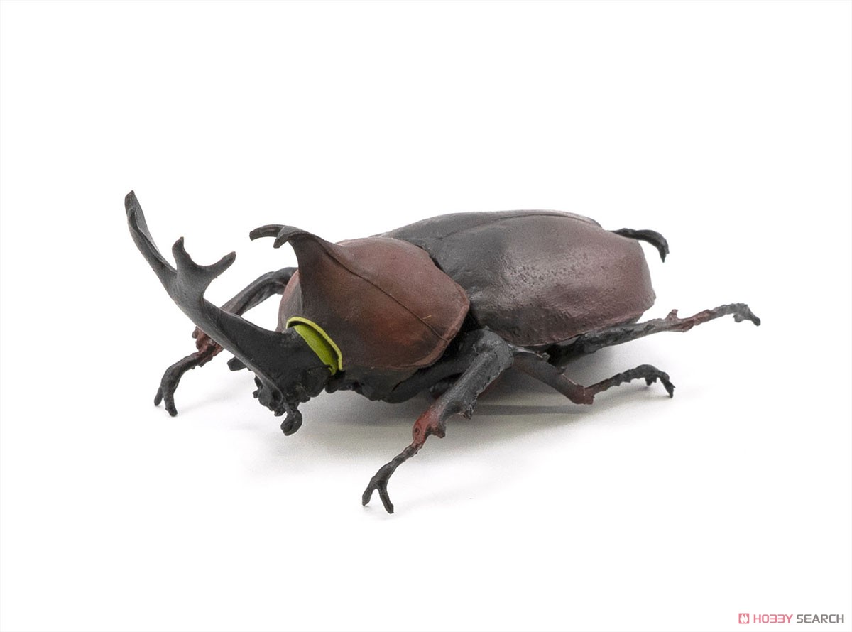昆虫ハンター (10個セット) (食玩) 商品画像2