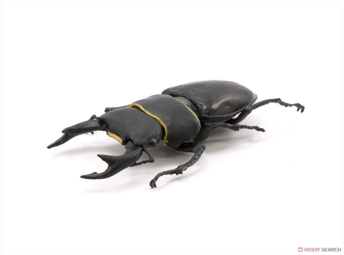 昆虫ハンター (10個セット) (食玩) 商品画像3