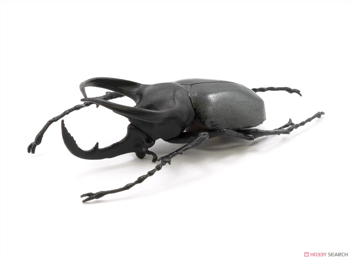 昆虫ハンター (10個セット) (食玩) 商品画像4