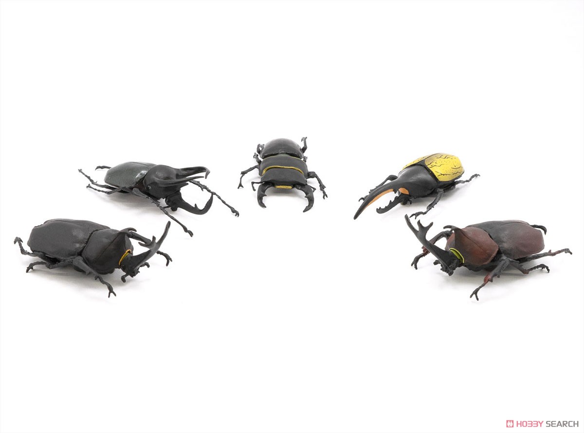 昆虫ハンター (10個セット) (食玩) 商品画像8