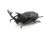 昆虫ハンター (10個セット) (食玩) 商品画像1