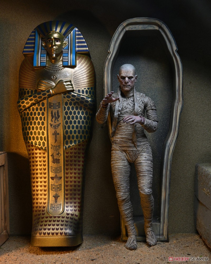 Universal Monster/ The Mummy: 7inch Action Figure Accessory Pack (Completed) Other picture6