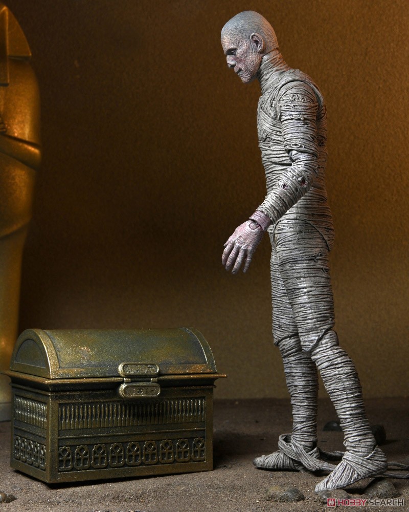 Universal Monster/ The Mummy: 7inch Action Figure Accessory Pack (Completed) Other picture8