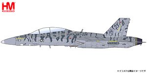F/A-18D ホーネットATARS VMFA(AW)-224 ベンガルス `岩国基地 2009` (完成品飛行機)