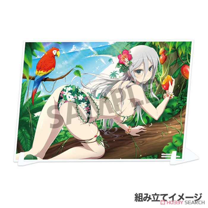 シノビマスター 閃乱カグラ NEW LINK ビジュアルアクリルプレート 閃光 (水着2019) (キャラクターグッズ) 商品画像2