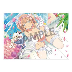 Shinovi Master Senran Kagura New Link Visual Acrylic Plate Ushimaru (WD2020) (Anime Toy)