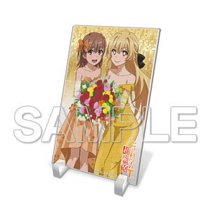 [A Certain Scientific Railgun T] Mikoto Misaka & Misaki Shokuhou Acrylic Plate (Anime Toy)