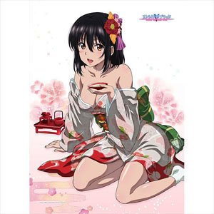 [Strike the Blood] B2 Tapestry (Yukina / Kimono) W Suede (Anime Toy)