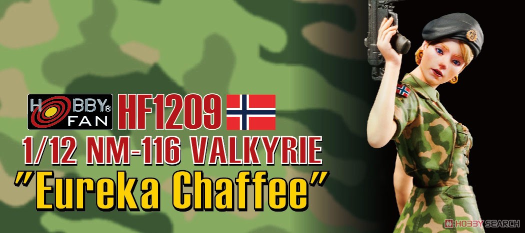 NM-116 Valkyrie `Eureka Chaffee` (Plastic model) Other picture2