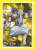 ブシロードスリーブコレクション ミニ Vol.580 アニメ 終末のワルキューレ 『ゼウス』 (カードスリーブ) 商品画像1