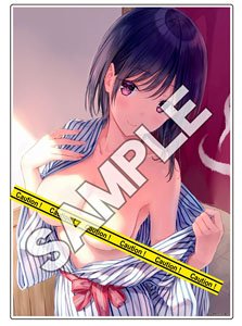 Hiten 014:COMIC阿吽Pin-upアクリルアートコレクションSP (キャラクターグッズ)