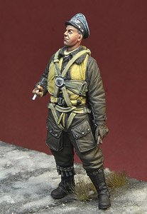 WWII Luftwaffe Pilot Ace Franz Stigler (Plastic model)
