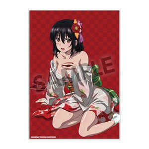 ストライク・ザ・ブラッドFINAL ビジュアルアクリルプレート 姫柊雪菜 晴れ着 ver. (キャラクターグッズ)