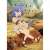[Mushoku Tensei: Jobless Reincarnation] B2 Tapestry (Roxy) (Anime Toy) Item picture1