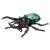 Ania AS-39 Caucasus Beetle (Animal Figure) Item picture1