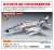 F-4EJ Phantom II `303SQ Dragon Squadron 10th Anniversary` (Plastic model) Other picture1