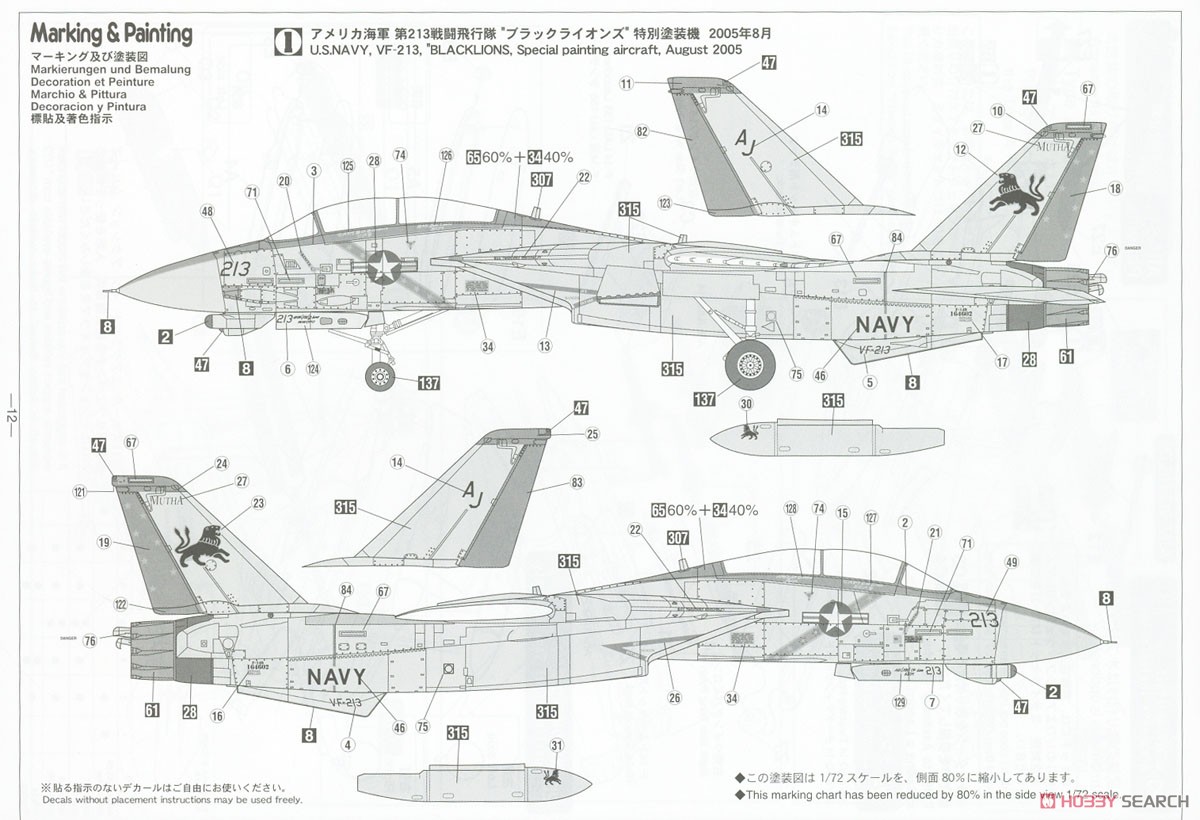 F-14D トムキャット `VF-213 ブラックライオンズ ラストクルーズ` (プラモデル) 塗装2