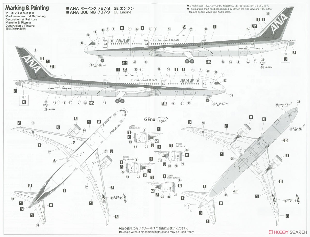 ANA ボーイング 787-9 (GEエンジン) (プラモデル) 塗装2