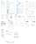 YHP ニッサン R89C `スーパーディテール` (プラモデル) 設計図7