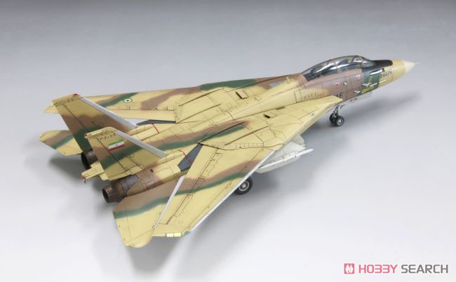 IRIAF F-14A Tomcat (Limited Edition) (Plastic model) Item picture2