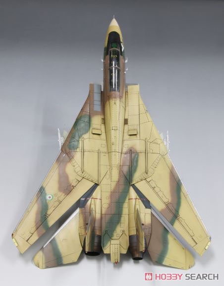 IRIAF F-14A Tomcat (Limited Edition) (Plastic model) Item picture3