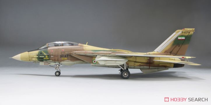 IRIAF F-14A Tomcat (Limited Edition) (Plastic model) Item picture4