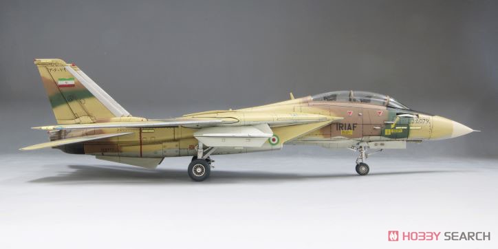 IRIAF F-14A Tomcat (Limited Edition) (Plastic model) Item picture5